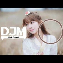 刚好遇见你 - 李玉刚 Remix