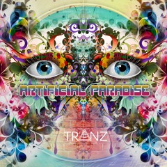 I Wanna Hear Your Story - DJ Tranz - Artificial Paradise
