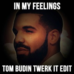 In My Feelings (Tom Budin Twerk It Edit) (FREE DL)