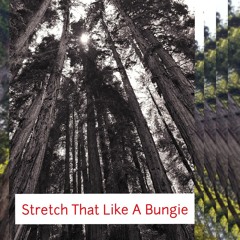 Stretch That Like A Bungie