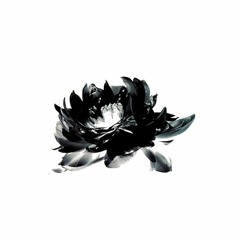 Whited Sepulcher (preview)