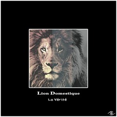 Lion Domestique ▶La Vérité