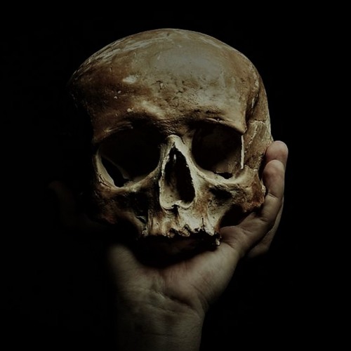 La Sixième Extinction ( Extrait )