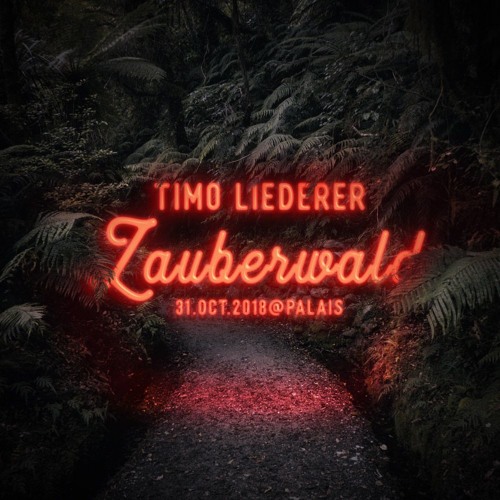 @ Zauberwald 2018, Palais Club (October 31, 2018)