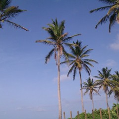 Mi - Stand - Firm   DA MARKUS REMIX