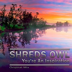 Shreds Owl - You're An Inspiration (Original Mix)