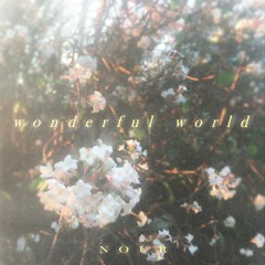 wonderful world - prod. dilushselva