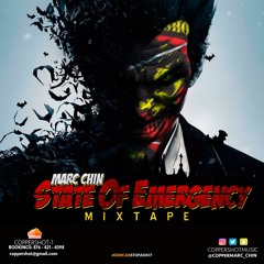 STATE OF EMERGENCY BY MARC CHIN