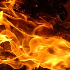 Girl on Fire Angelica Hale Get the Guest GOLDEN BUZZER!