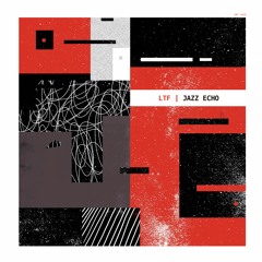 Moon Echo