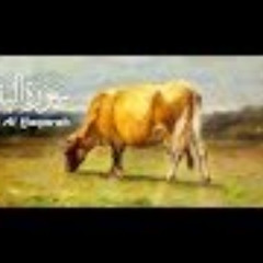 «  وإذ قتلتم نفسا فادارأتم فيها والله مخرج ما كنتم