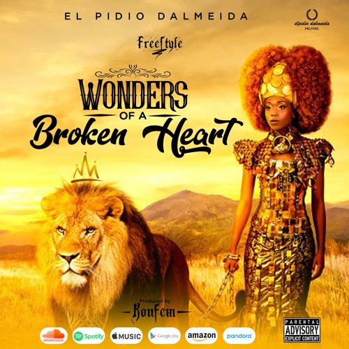 Wonders Of A Broken Heart EL PIDIO DALMEIDA