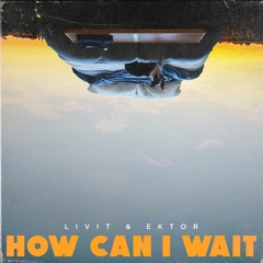 LIVIT & Ektor - How Can I Wait (Extended Mix)