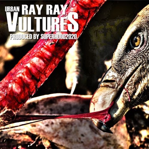 Vultures
