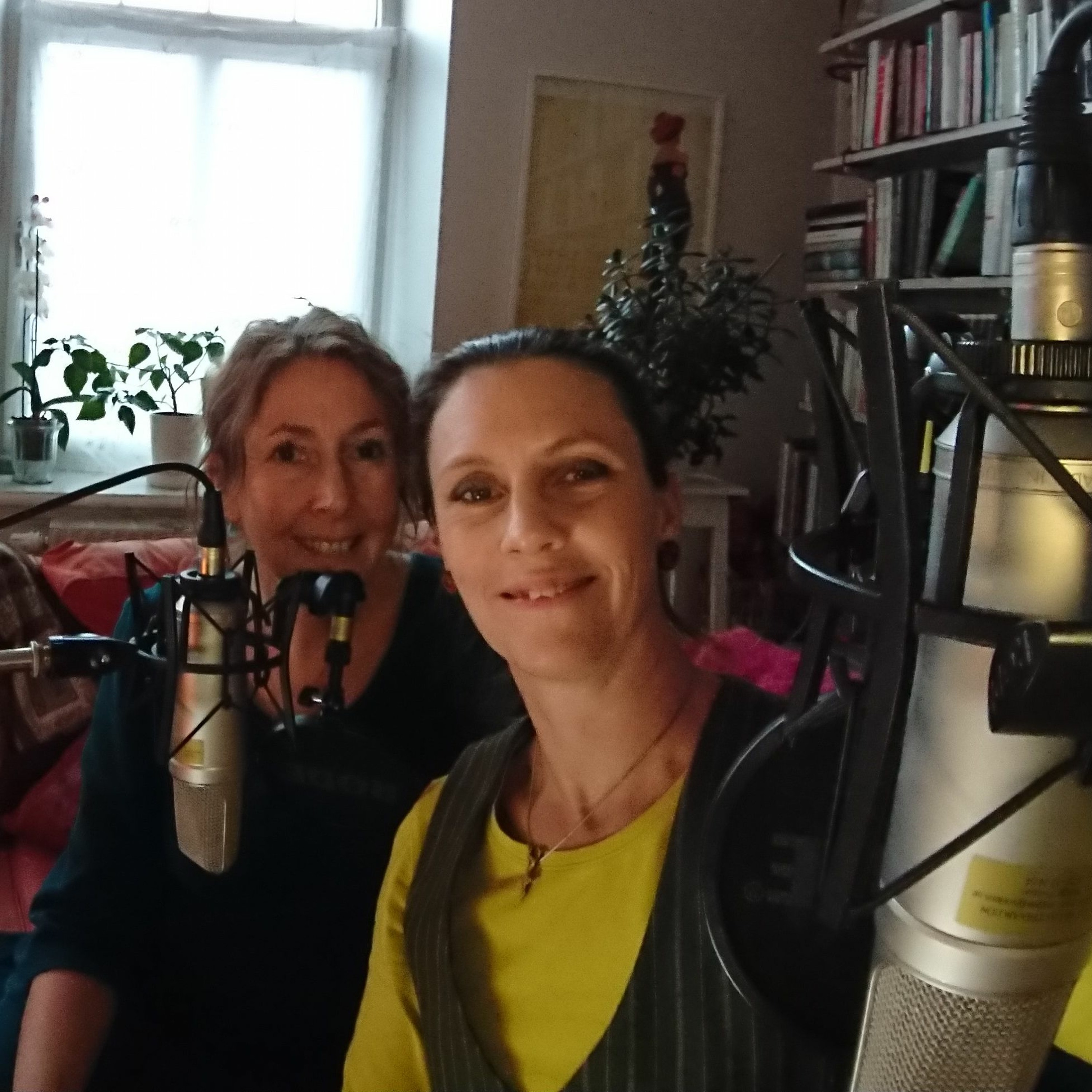 Flödet - en podd om skolbibliotek