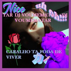 CARALHO TA FODA DE VIVER  (DJ VOUMEMATAR)