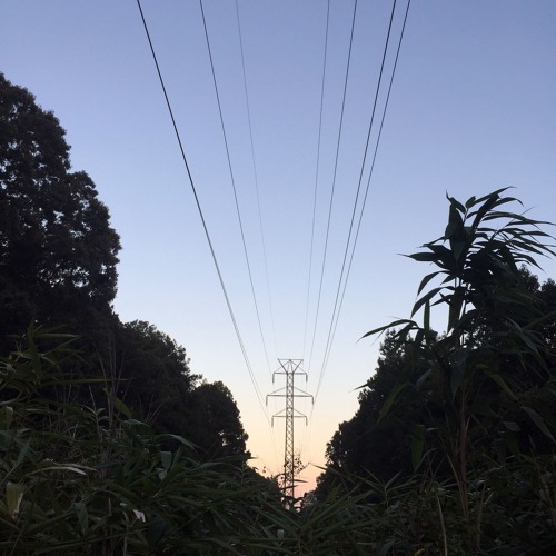 Stream Carolina Soul Show 52 by Carolina Soul Records Listen online