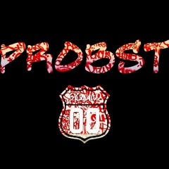 PROBST-BLOWZASNIFF(PROD.WESTY)