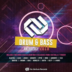 Drum & Bass Anthology: 2019 (Release Mix) [35 Tracks for ONLY *£6.75*!]