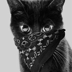 Purrdition - Cahuna