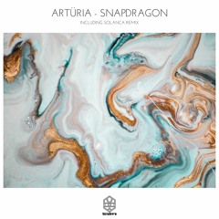 Arturia - Snapdragon (Solanca Remix)