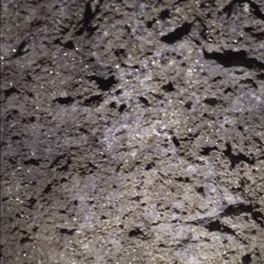 Where Is My Mind - Pixies (Cover)