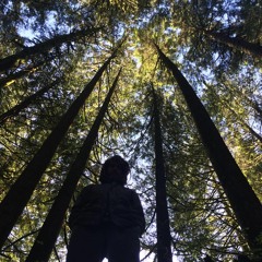 Bass Coast Application 2019