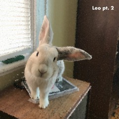 Leo (pt. 2)