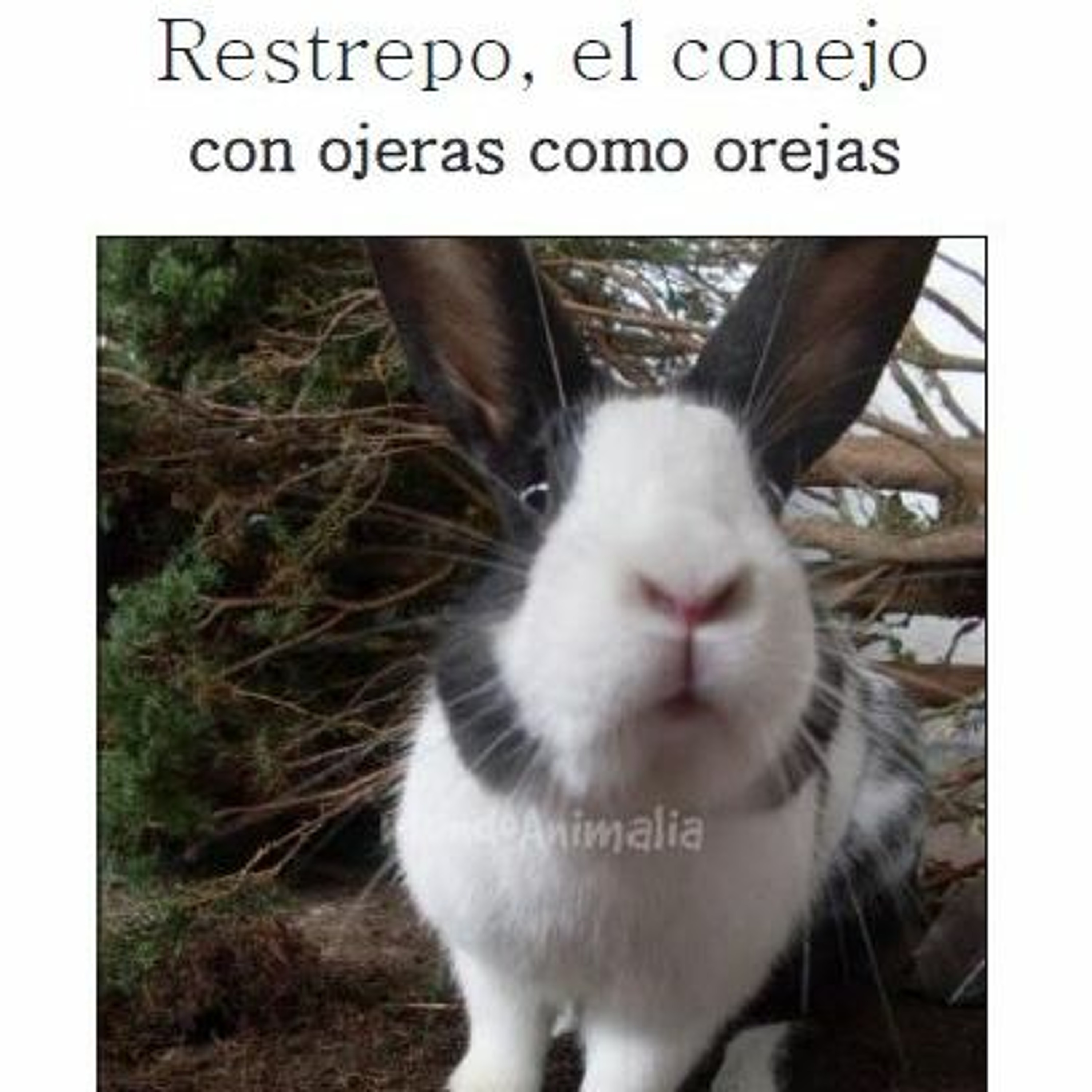 La Dicha de Escribir y Escuchar
