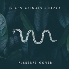 Plantrae - Glass Animals 'Hazey' (Cover)