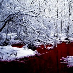 Frostbite