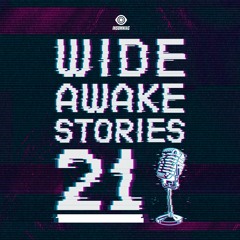 Wide Awake Stories #021 ft. RÜFÜS DU SOL & Orbital