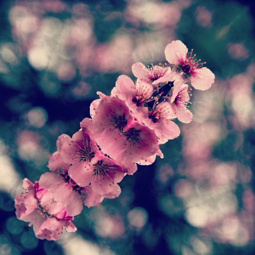 After Rain