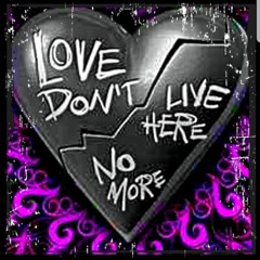 LOVE DONT LIVE HERE - SHONA