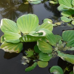 Patrick Anderson - Song 34 (Live Drums)