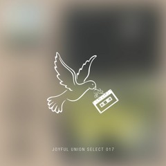 Joyful Union Select 017
