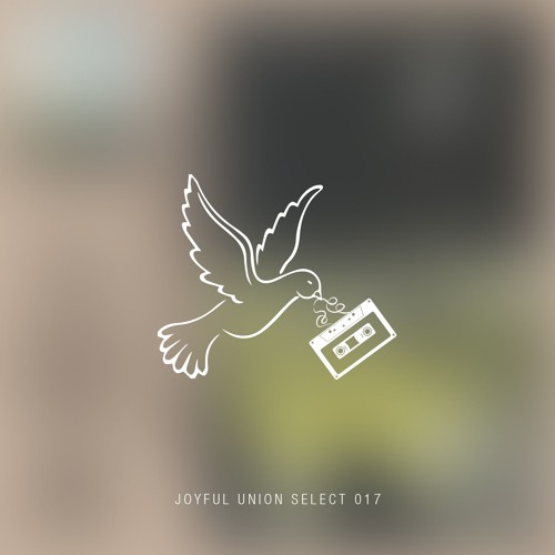 Joyful Union Select 017
