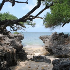 Kabira Bay rough mix 121418