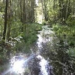 Sorrow Erodes The Soft Edge Of The Bank Vers4noLead - 12:14:18, 9.45 PM