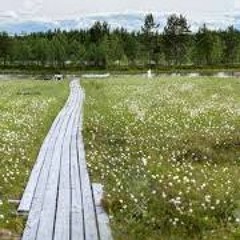 Sorrow Erodes The Soft Edge Of The Bank Vers4with Lead - 12:14:18, 9.51 PM