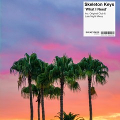 What I Need - Skeleton Keys  (Late Night  Mix) Sleazy Deep Out Now