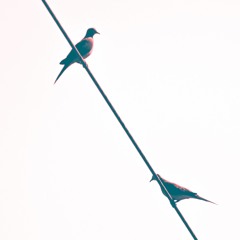 Moiety - JustJake (Prod. Kid Ocean)