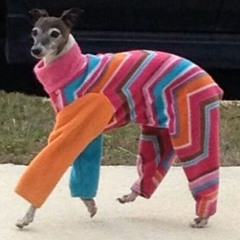 sweater weather
