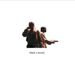 DRUGS X WOLVES (1/1)