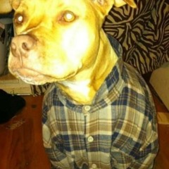 BBYPATO ft TRAPRAY & Loyalty & ENDO - BLOCC$TYLE