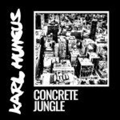 Karl Hungus - Concrete Jungle (FÜNKT Remix)