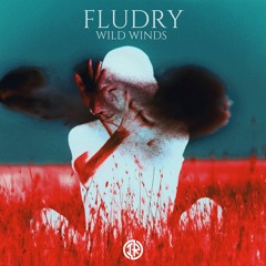 Fludry - The Portal [Premiere]