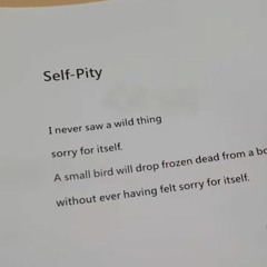 VI.12.15 -2018 Lyrics X @맨딥 킴