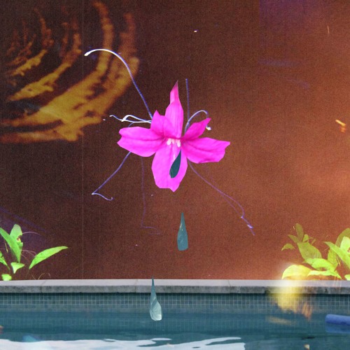 ZOD1AC - St*rdvst [premiere]