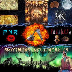 Palaeksa PVR - Zapping2